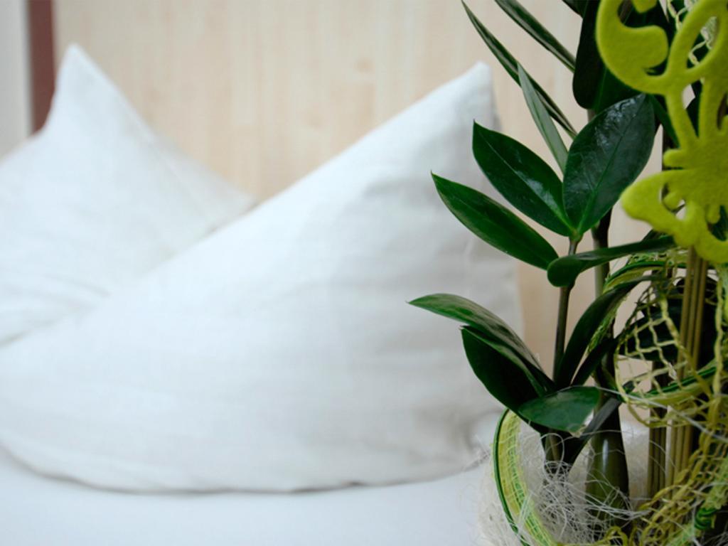 Land-Gut Hotel Zum Loewen Garni Marktheidenfeld Δωμάτιο φωτογραφία